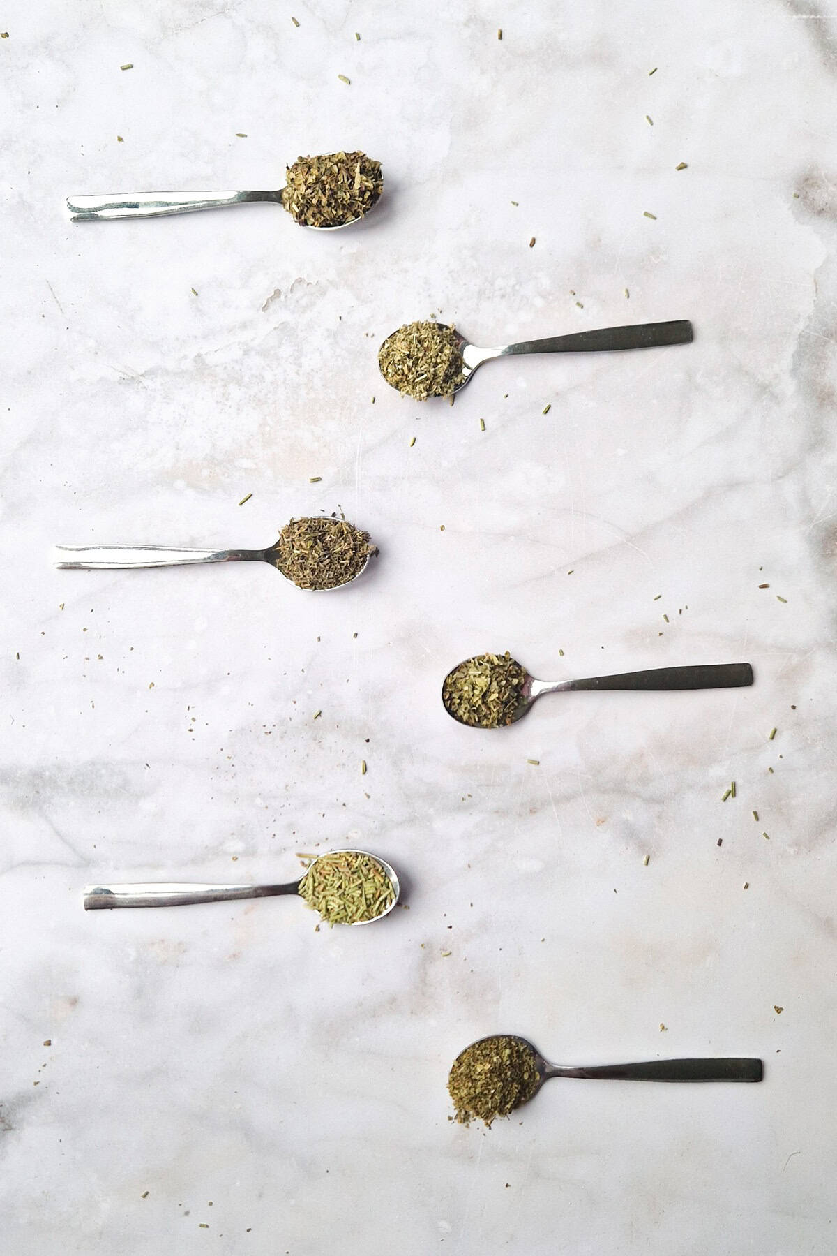 The herbs that are used in Italian seasoning. Each herb lies on a teaspoon.