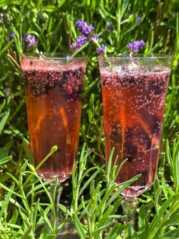 2 glasses filled with a lavender mocktail. The background are green lavender sprigs.